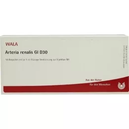 ARTERIA RENALIS GL D 30 ampoules, 10x1 ml