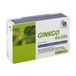 GINKGO 100 mg kapslar+B1+C+E, 48 st
