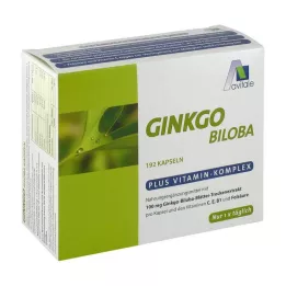 GINKGO 100 mg kapslar+B1+C+E, 192 st
