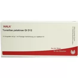 TONSILLAE Palatinae GL D 12 Ampoules, 10x1 ml