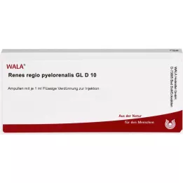 RENES REGIO pyelorenalis GL D 10 ampuller, 10X1 ml