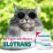 ELOTRANS Pulver, 10 st