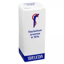 EQUISETUM ARVENSE H 10 % oljig gnidning, 50 ml