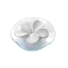 DUFTSTEIN Frangipani Glasteller Transparent, 1 st