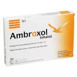 AMBROXOL Inhalationslösning för en nebulisator, 20X2 ml