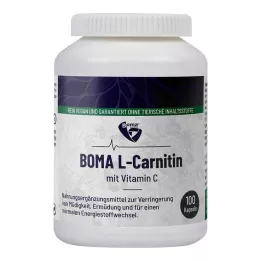 L-CARNITIN 500 kapslar, 100 st
