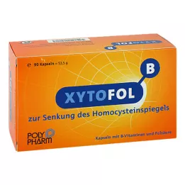 XYTO Fol B kapslar, 90 st