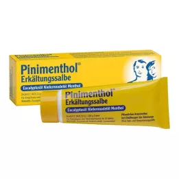 PINIMENTHOL Kallsalva Eucal./Pine./Menth., 20 g