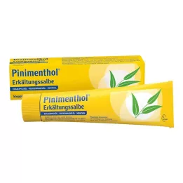 PINIMENTHOL Kallsalva Eucal./Pine./Menth., 100 g