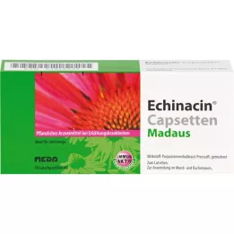Echinacin Caps sätter lozenges, 40 st