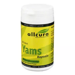 YAMS kapslar 250 mg yamspulver, 60 st