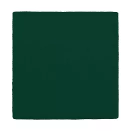MULLKOMPRESSEN 10x10 cm 12-faldig grön, 100 st