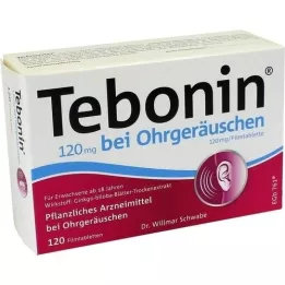 TEBONIN 120 mg filmdragerade tabletter för ringningar i öronen, 120 st