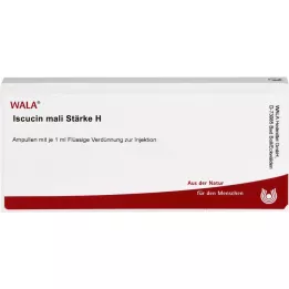 ISCUCIN Mali styrka H ampoules, 10x1 ml