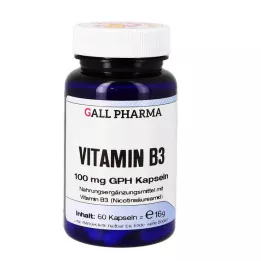 VITAMIN B3 100 mg GPH kapslar, 60 st