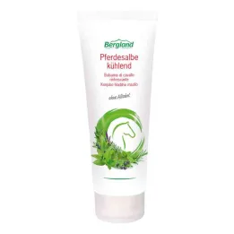 Hästsalva kylning (100 ml)