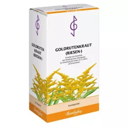 GOLDRUTENKRAUT Jättete, 100 g