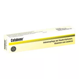 CEFABENE Salva, 25 g