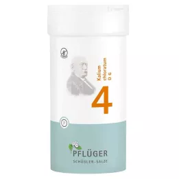 BIOCHEMIE Pflüger 4 Kalium chloratum D 6 tabletter, 400 st