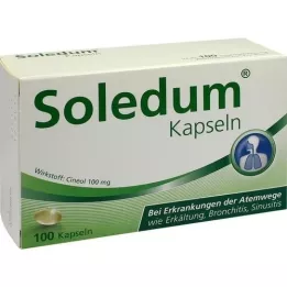 SOLEDUM 100 mg gastrisk resistenta kapslar, 100 st