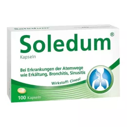SOLEDUM 100 mg gastroresistenta kapslar, 100 st