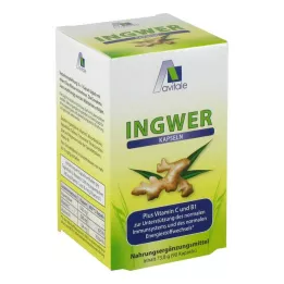 INGWER 500 mg kapslar+vitamin B1+C, 90 st