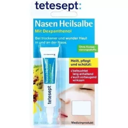 TETESEPT Nasal Healing Salva, 5 g