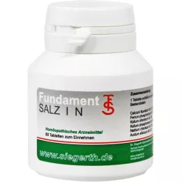 FUNDAMENT-Salt I N -tabletter, 4x80 st