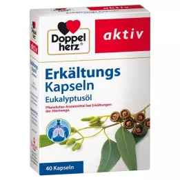 DOPPELHERZ Kalla kapslar eukalyptusolja, 40 st