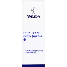 Prunus Spinosa Fructus Natural Tincture, 50 ml