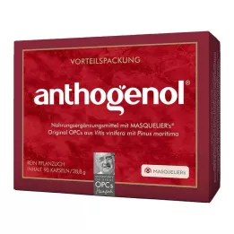 OPC ORIGINAL Masqueliers Anthogenol kapslar, 90 st
