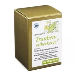 TRAUBENSILBERKERZE kapslar, 60 st