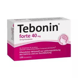 TEBONIN forte 40 mg filmdragerade tabletter, 120 st