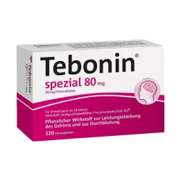 TEBONIN speciella 80 mg filmdragerade tabletter, 120 st