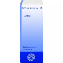 BETULA PENDULA Hanosan modertinktur, 20 ml