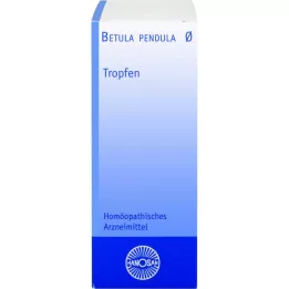 BETULA PENDULA Hanosan modertinktur, 50 ml