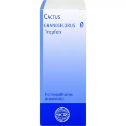 CACTUS GRANDIFLORUS Hanosan modertinktur, 20 ml
