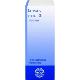 CLEMATIS RECTA Hanosan modertinktur, 20 ml