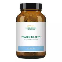 VITAMIN B6 KAPSLAR, 120 st