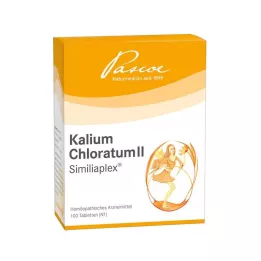 KALIUM CHLORATUM 2 Similiaplex-tabletter, 100 st