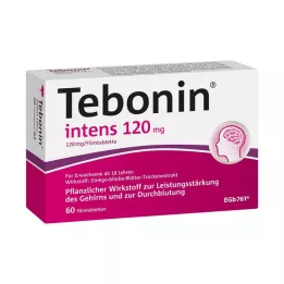 TEBONIN intensiv 120 mg filmdragerade tabletter, 60 st