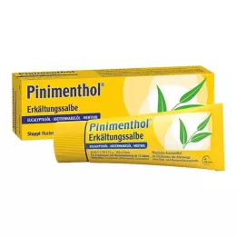 PINIMENTHOL Kallsalva Eucal./Pine./Menth., 50 g