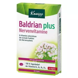 KNEIPP Valeriana plus nervvitamin dragéer, 40 st