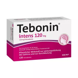 TEBONIN intensiv 120 mg filmdragerade tabletter, 120 st