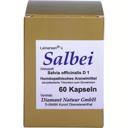 SALBEI kapslar, 60 st