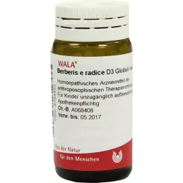 BERBERIS E radis D 3 Globuli, 20 g