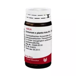 CICHORIUM E planta tota 5 % kulor, 20 g