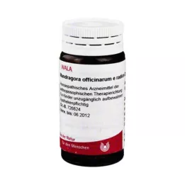 MANDRAGORA OFFICINARIUM e radis D 4 Globuli, 20 g