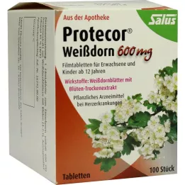 PROTECOR Windthorn 600 mg film -belagda tabletter, 100 st
