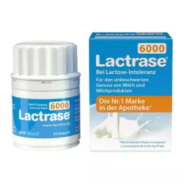 LACTRASE 6 000 FCC kapslar, 60 st